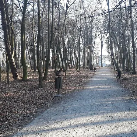 Casa Del Mare, And *