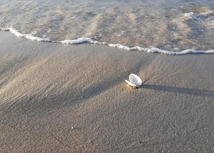 Casa Del Mare, And Łeba