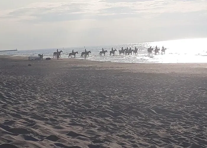 Casa Del Mare, And * Leba